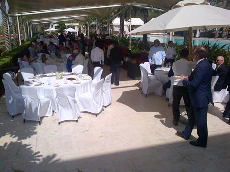 DesertPalm13.jpg